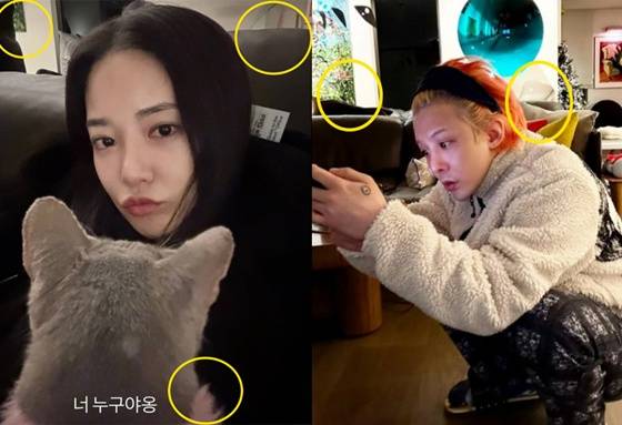 /사진=이주연, 지드래곤 각 SNS 캡처