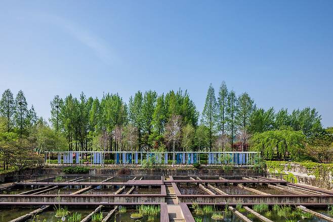 김아연 작, ‘그림자 아카이브’. 선유도공원에 거주하는 비인간 행위자들을 감광해 기록한 설치 작품. 유청오 제공