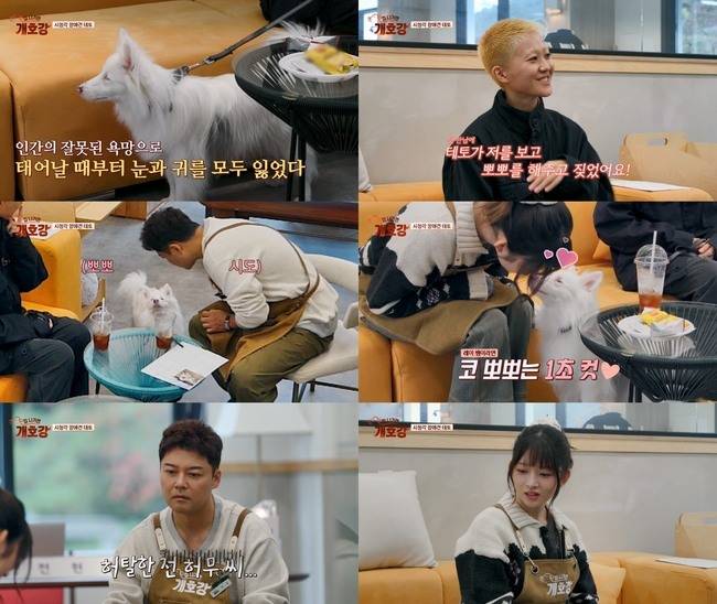 JTBC ‘집 나가면 개호강’ 제공