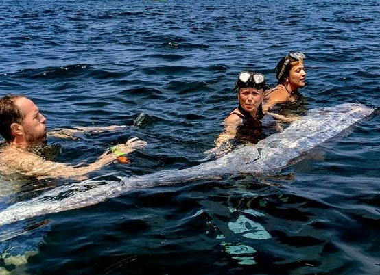 사진은 기사 내용과 무관함. 2024년 미국 캘리포니아 해안에서 발견된 산갈치. 연합뉴스