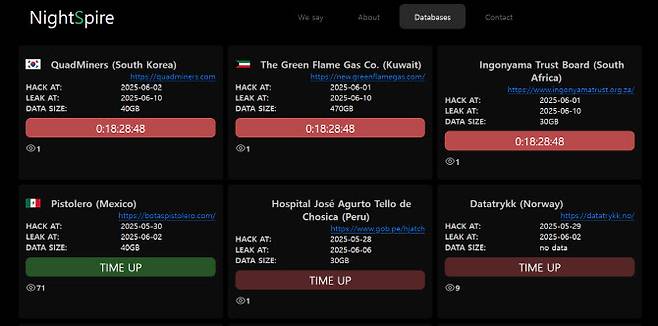랜섬웨어 조직 ‘나이트스파이어’ 다크웹 사이트 화면(사진=캡처)