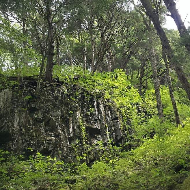 3fb8c32fffd711ab6fb8d38a4683746f7acb91c68c5f58c67cf1540c2f76074ca59acb0e94da0e5aa73435ccc0ed