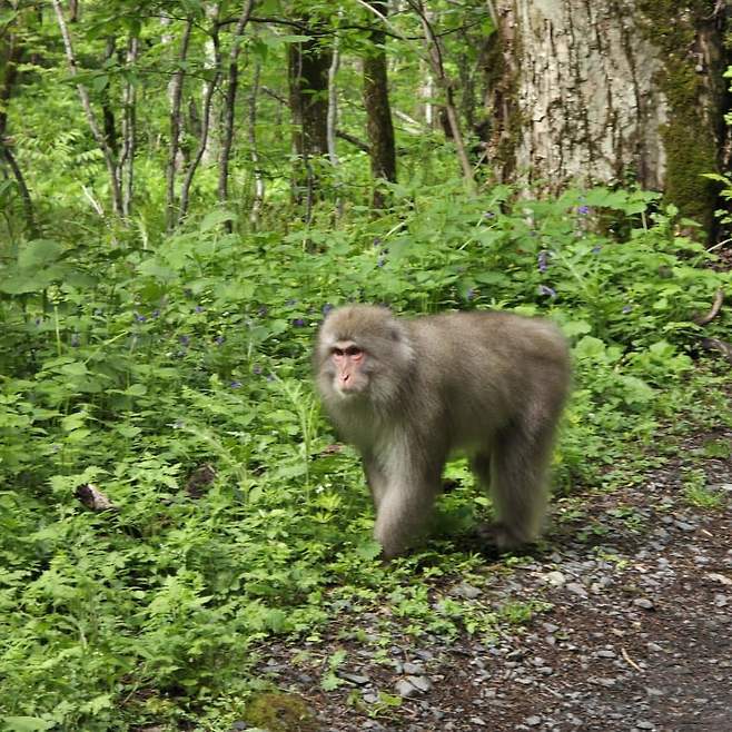 3fb8c32fffd711ab6fb8d38a4783746fa3f5d33da8419638d21f1abe4a090b94c614f281d762796be6df6c25ae2d