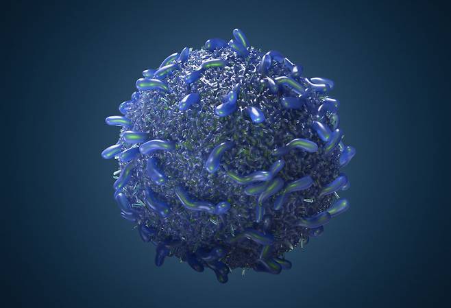 임상시험 결과 고형암에서 키메릭항원수용체-T(CAR-T) 세포 치료제 효과가 확인되었다. 게티이미지코리아