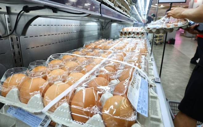 자료사진.뉴시스