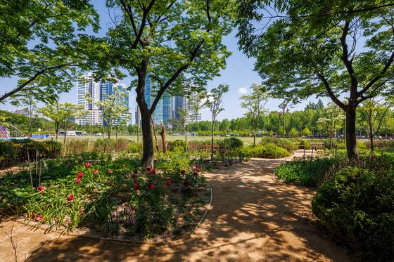 조용한 오아시스를 만들어낸 ‘Aviators Garden’.