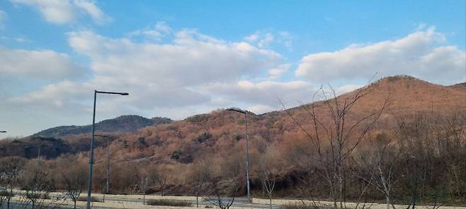 현재 유보지로 남겨져 있는 세종동(S-1생활권) '대통령 집무실' 후보지 전경. 총리 공관과 원수산 및 전월산 인근에 자리잡고 있다. 사진=이희택 기자.