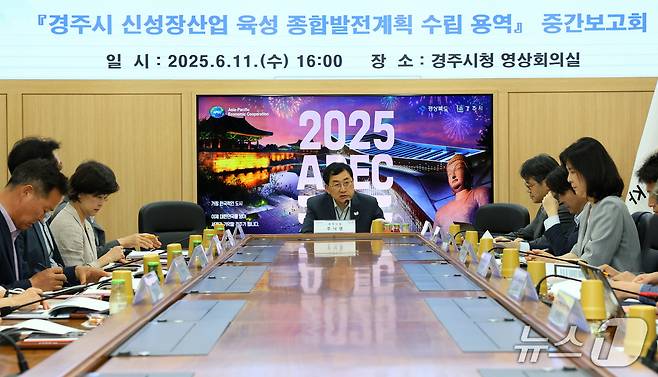 11일 경주시청에서 열린 신성장산업 육성 종합발전 계획 수립 용역 중간 보고회 모습.(경주시 제공, 재판매 및 DB금지) 2025.6.11/뉴스1