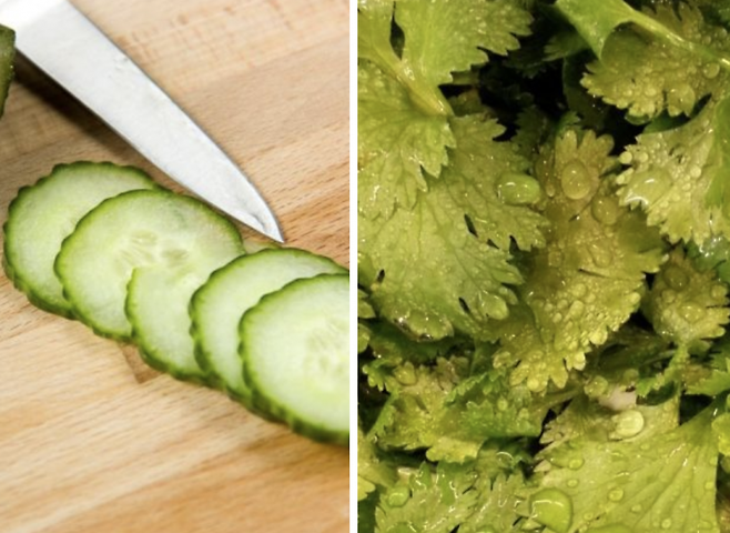 왼쪽부터 오이, 고수. 픽사베이