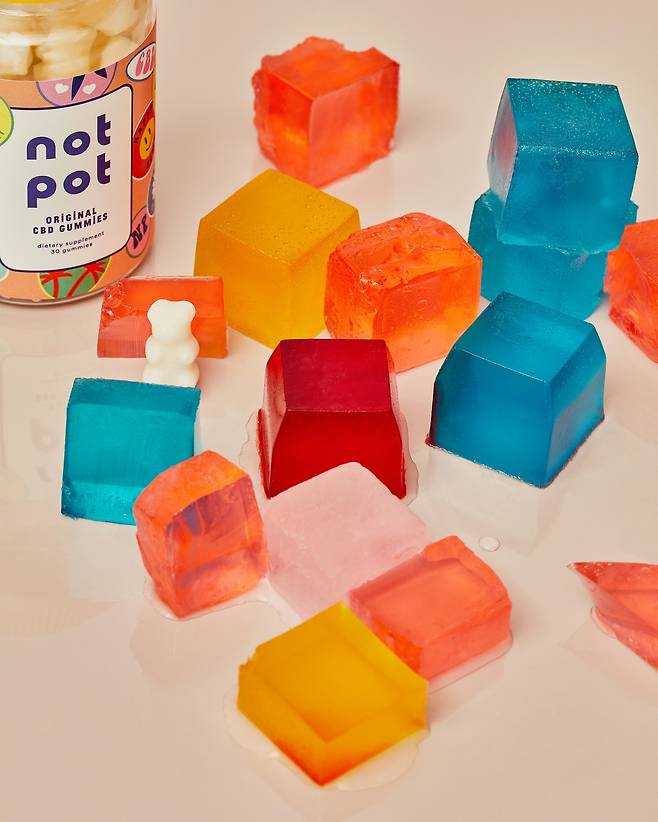 사진은 기사 내용과는 무관함. Unsplash의 Not Pot