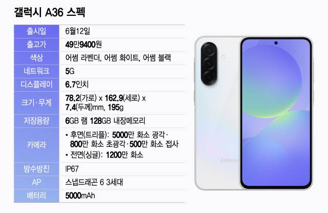 /그래픽=윤선정 디자인 기