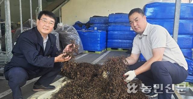 박세봉 경남 남해 창선농협 조합장(왼쪽)이 올해 수확해 건조한 고사리를 들어 보이고 있다.