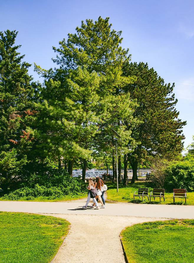 머르기트섬(Margitsziget)