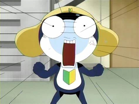 image.png 일본사는 펨붕이의 일본 교통법규에 대해 알아보자!