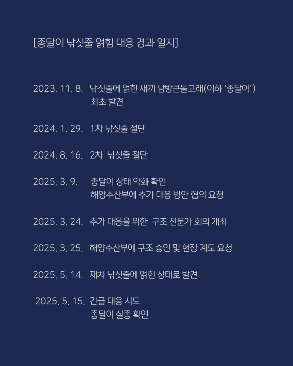 핫핑크돌핀스 제공