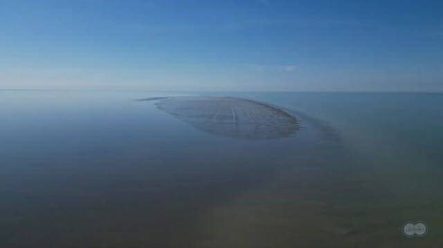 카스피해에 새로운 섬이 나타났다. (사진= Yu. Shulgina, IO RAS)