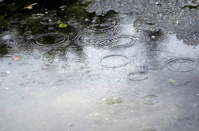 기사와 사진은 무관합니다 / 사진출처. 크라우드픽