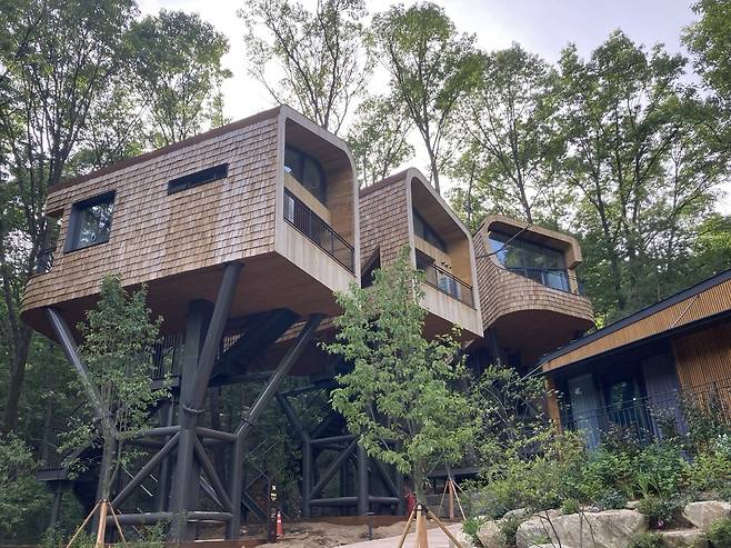 수락휴 트리하우스 모습. 손인규 기자