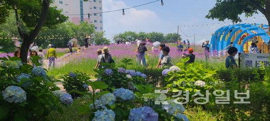▲ 날이 개면서 장생포 수국 페스티벌이 한층 더 활기를 띠고 있다. 남구도시관리공단 제공