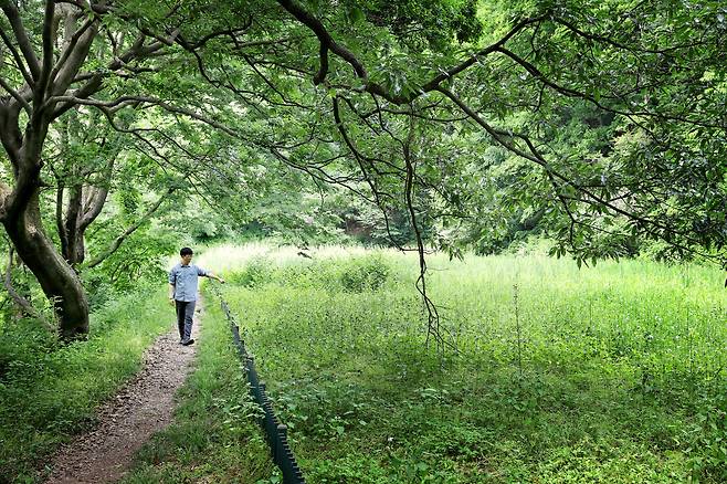 '동고산성 서문지'란 표지판에서 5분 정도 더 올라가면 '동고산성 건물 터'가 나온다. 주춧돌이 남아 있는 터를 표시한 구역이다. / 주민욱 영상미디어 기자