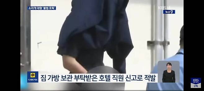 IMG_8960.jpeg "가방에서 \'바스락\'"… 일본서 소라게 5,200마리 밀반출 중국인 검거