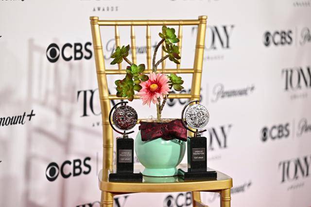 8일 미국 뉴욕 라디오시티 뮤직홀에서 열린 제78회 토니상 시상식 프레스룸에 전시돼 있는 '어쩌면 해피엔딩'의 '화분'. 화분 양옆으로 토니상 트로피가 함께 놓여 있다. 뉴욕=AP 연합뉴스