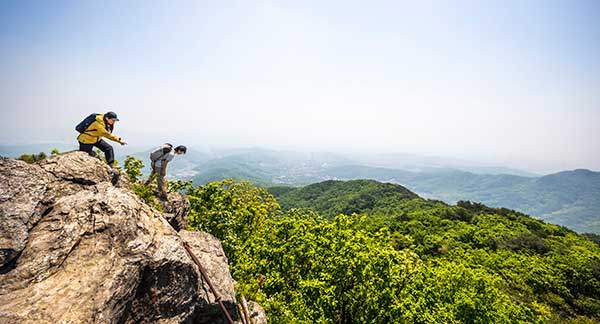 수리봉 지나 찾은 뷰포인트에서 꽃나무를 내려다보았다. 발아래 펼쳐지는 꽃밭이 정겹고 예쁘다.