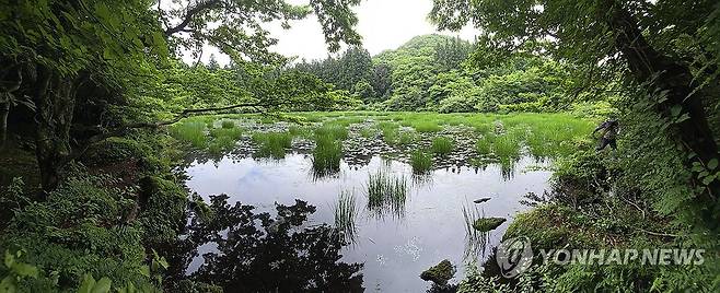 아름다운 영아리오름 습지 '행기소' 전경 (서귀포=연합뉴스) 김호천 기자 = 제주 서귀포시와 서귀포시협약인증습지도시등지역관리위원회가 람사르 습지도시 인증 프로그램 지원사업의 하나로 운영하는 시민습지탐사대 대원이 15일 서귀포시 안덕면 상천리에 있는 영아리오름 습지인 속칭 '행기소'를 찾아 조사를 하고 있다. 2026.6.15 khc@yna.co.kr