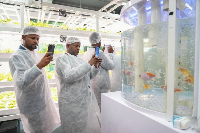에셰투 훈데 에티오피아 농업부 농업기계화국장(사진 왼쪽)과 공무원들이 '강북 스마트팜 센터' 1층 아쿠아포닉스 엽채류 체험재배실 모습을 동영상에 담고 있다. 강북구 제공.