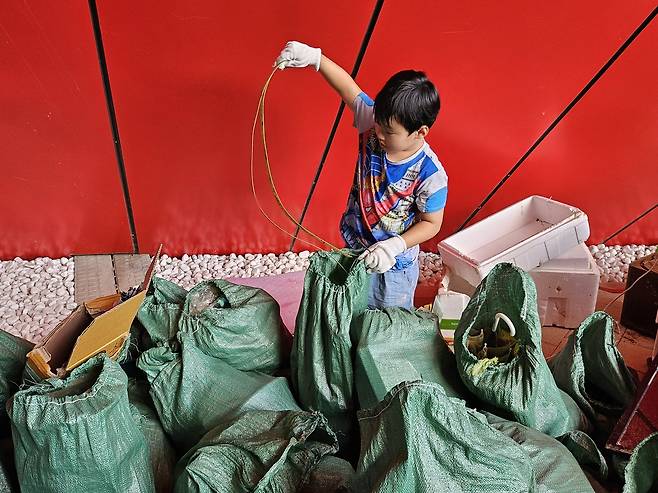 14일 강원도 영월에서 클린하이커스가 주최해 열린 ‘제1회 쓰레기줍기대회’ 참가자들이 모은 쓰레기. 한 참가자가 정크아트를 위해 쓰레기를 고르고 있다. 김광우 기자.