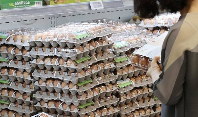 소비자가 마트에서 계란을 살펴보고 있다. <연합뉴스>