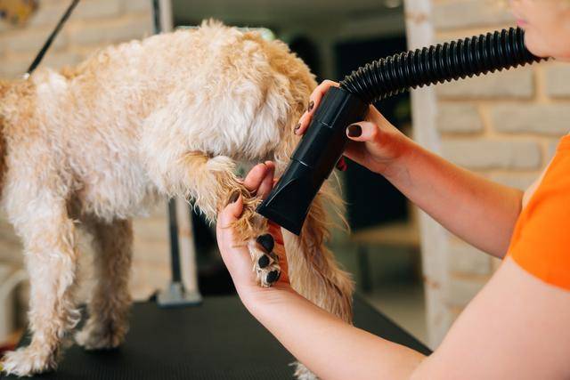 게티이미지뱅크