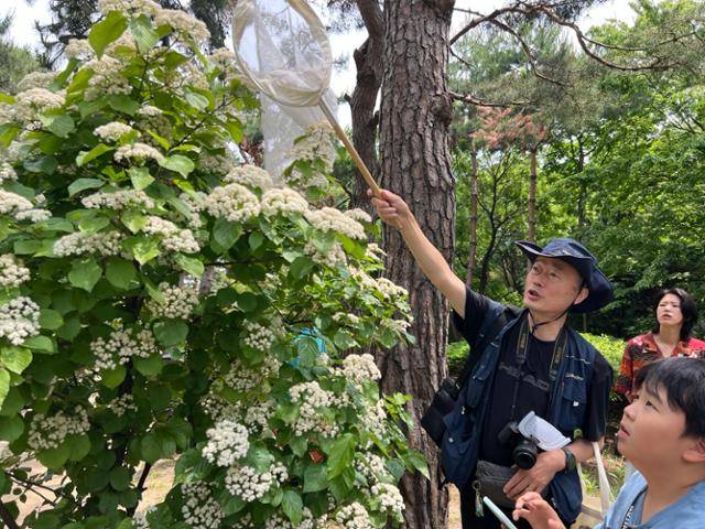 이흥식 농림축산검역본부 농업 연구관 겸 벌 연구모임인 벌볼일있는사람 공동대표가 시민들에게 벌을 소개하기 위해 뜰채로 벌을 잡고 있다. 고은경 기자