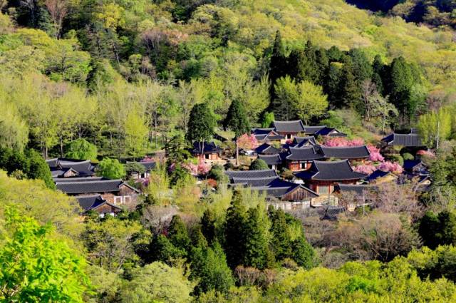 세계문화유산 선암사 전경. 사진 제공=순천시