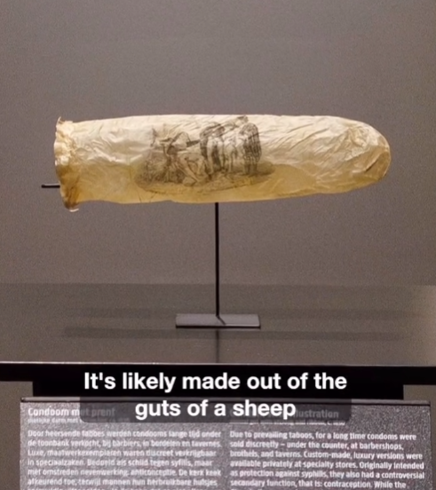 양의 맹장으로 제작된 19세기 콘돔. 수녀와 성직자가 등장하는 에로틱한 풍자 삽화가 에칭 기법으로 인쇄돼 있다. 네덜란드 국립미술관에서 ‘19세기 성문화’ 전시의 일부로 공개됐다. (사진=SNS)