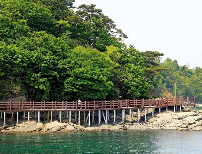 경기 안산시 단원구에 있는 풍도는 관광객에게 야생화의 천국이자 낚시 성지로 유명하다. /경기관광공사 제공