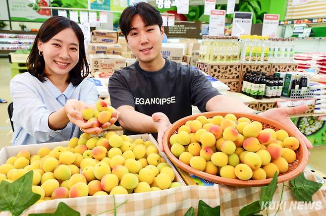 19일 서울 서초구 하나로마트 양재점에서 모델들이 여름 한정판 과일 ‘남고 홍매실’을 선보이고 있다.