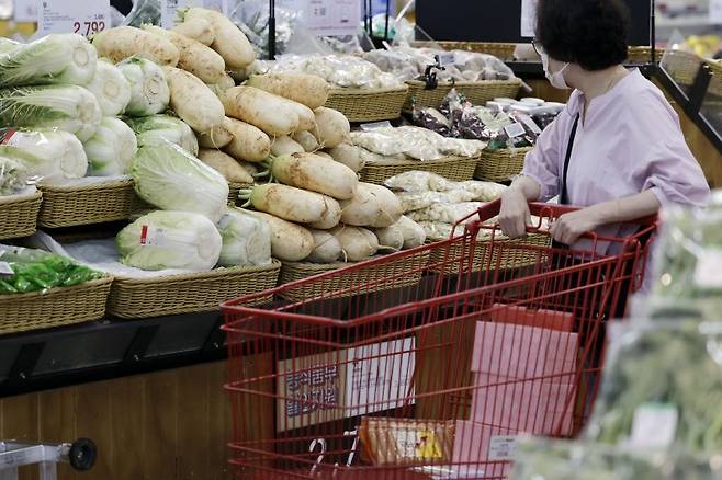 18일 서울의 한 대형마트에서 소비자가 채소류를 살펴보고 있다. 뉴시스