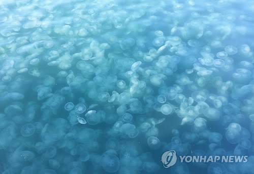 기사 내용 이해를 돕기 위한 자료사진. 연합뉴스