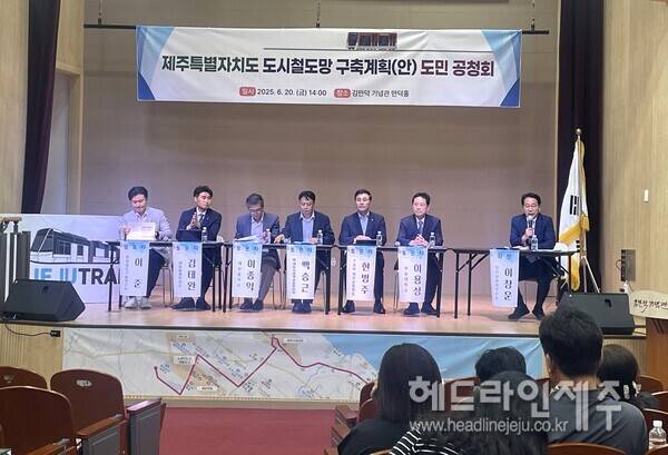 20일 열린 '도시철도망 구축계획(안)' 공청회.