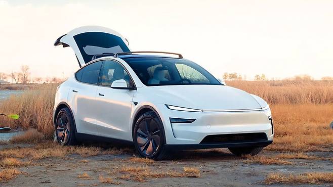 테슬라 모델 Y