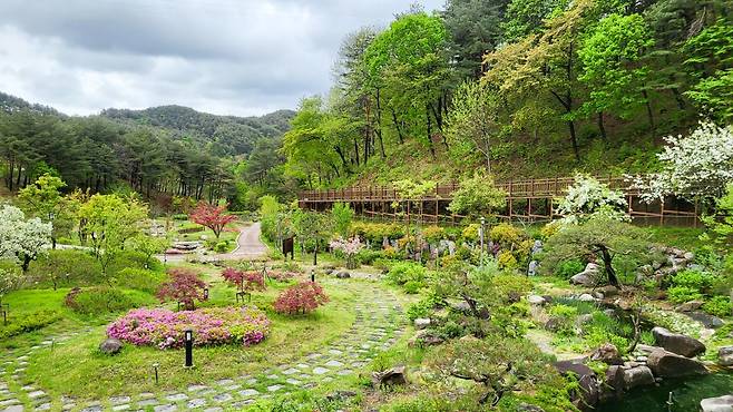 송이밸리자연휴양림.