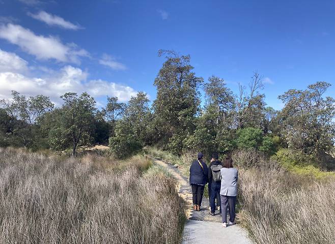 빅토리아주 작은 해안 마을인 말로 인근에 있는 스노이강 하구로 이어진 길. 박미향 기자