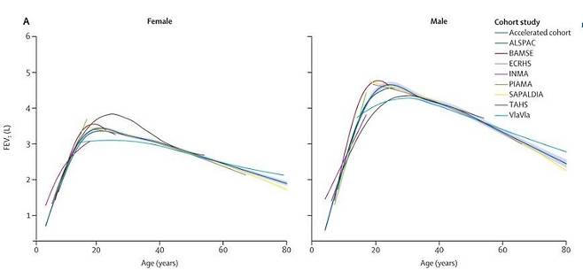 폐활량 측정 지표 가운데 하나인 FEV1(1초간 노력성 호기량)의 전 생애 주기에 걸친 변화 곡선. FVC(노력성 폐활량)도 똑같은 생애주기 곡선을 그린다. The Lancet Respiratory Medicine