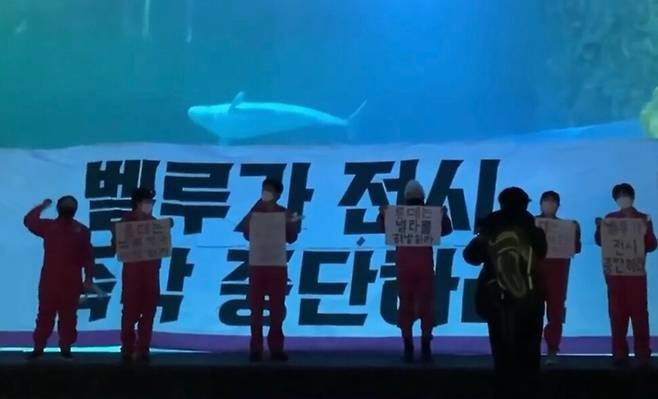 2022년 12월16일 서울 잠실 롯데월드 아쿠아리움 안에서 핫핑크돌핀스 활동가들이 팻말을 들고 ‘벨루가 전시 중단’을 촉구하고 있다. 그 뒤로 벨루가가 헤엄치고 있다. 핫핑크돌핀스 유튜브 갈무리