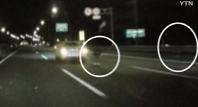 ‘고속도로 여배우 사망 사건’ 블랙박스 영상 (사진=YTN 방송 캡처)