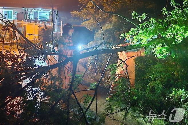충북에 내려졌던 호우주의보가 모두 해제됐다. 사진은 수목전도 조치.(충북소방본부 제공)/뉴스1