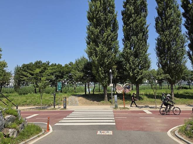 풍납미성 인근 한강공원 전경. 재건축을 통해 '한강 뷰' 아파트로 거듭날 전망이다. 한경DB