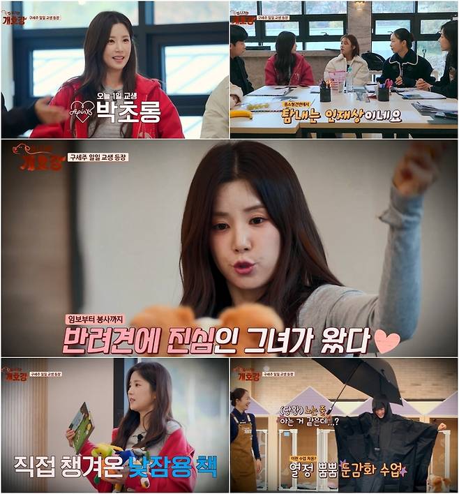 ‘집 나가면 개호강’. 사진| JTBC