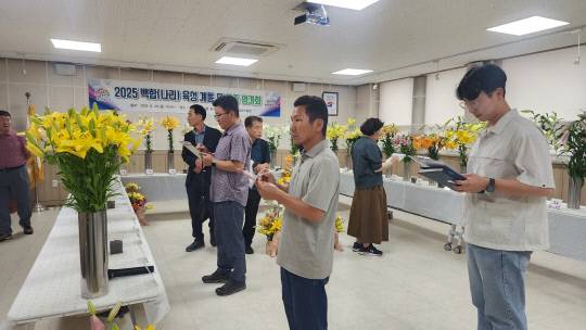 충남도 농업기술원 화훼연구소에서 '백합 우수 육성계통 평가회'가 진행되고 있다. 충남도 제공.